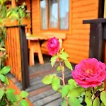 Comfortable Holiday Homes With Terraces, Pool
