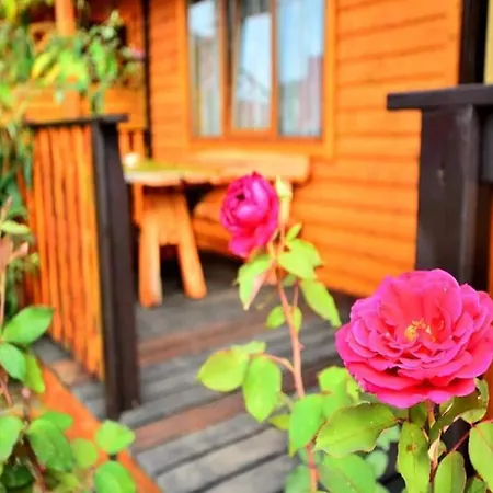 In Jaros Awiec Near Seaside